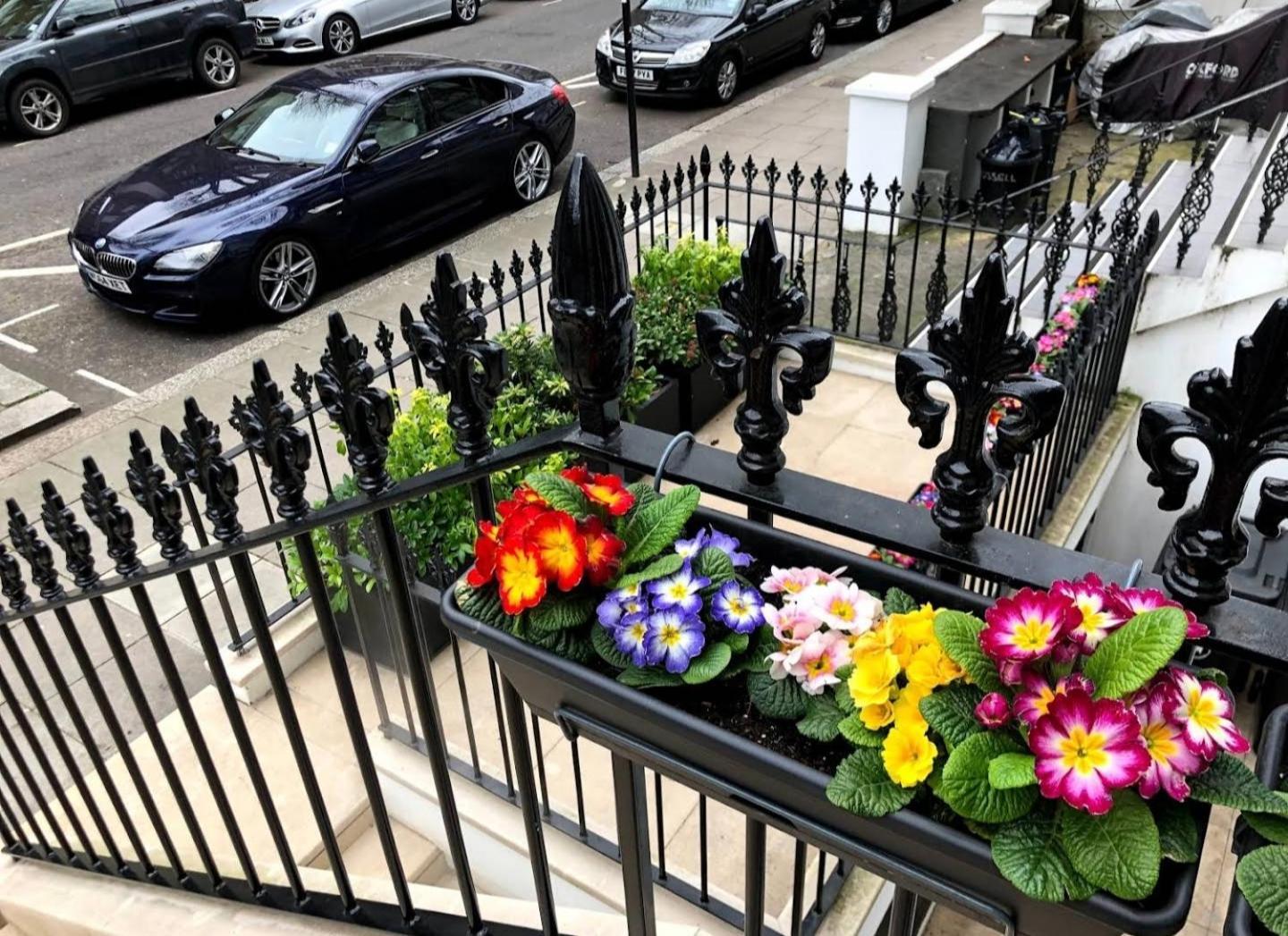 Sunny 1 Bedroom Flat In Central London Exteriör bild